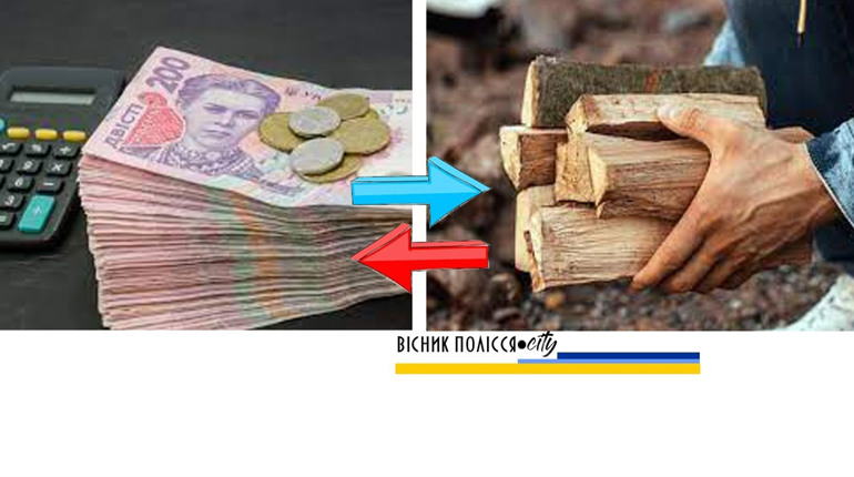 На Рівненщині більше 30 тисяч домогосподарств отримали додаткову фінансову підтримку на дрова