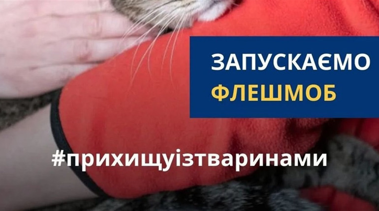 Як допомогти Херсонщині. П’ять перевірених зборів