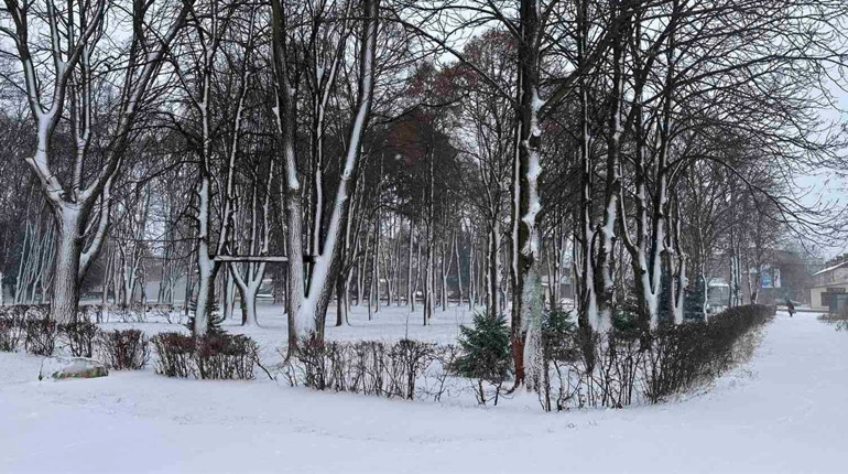 Погода у Старокостянтинові на 5-11 січня: яким буде початок року
