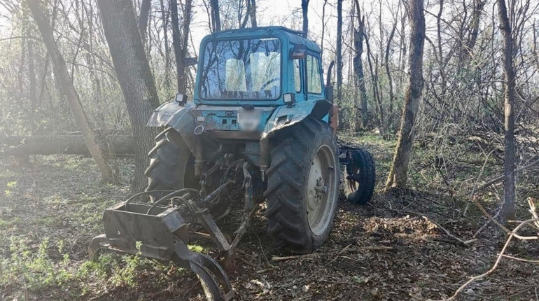 Троє чоловіків незаконно вирубали ліс на Шосткинщині: збитки перевищують мільйон гривень