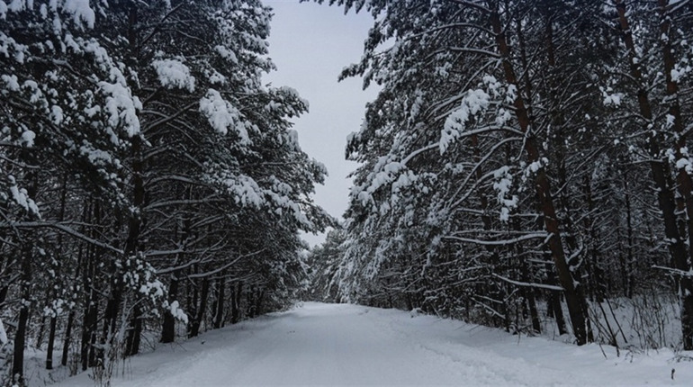 Радіаційний стан навколо Хмельницької АЕС за минулий тиждень