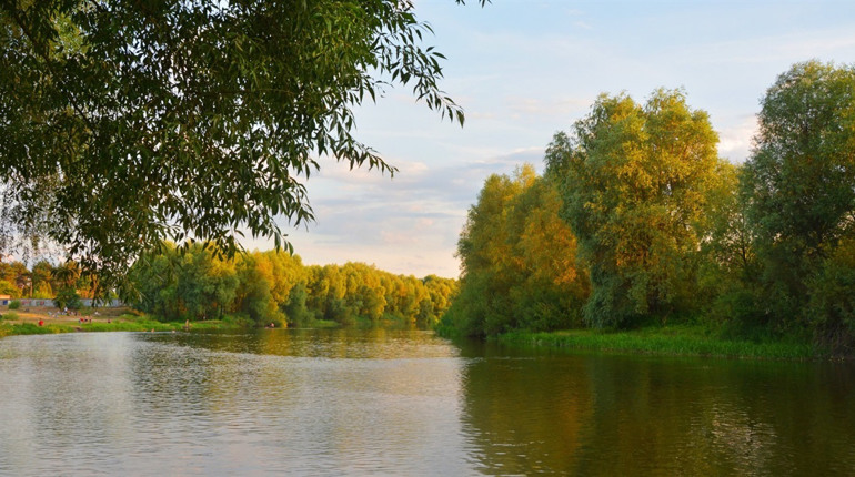 РАЕС не чинить негативного впливу на довкілля