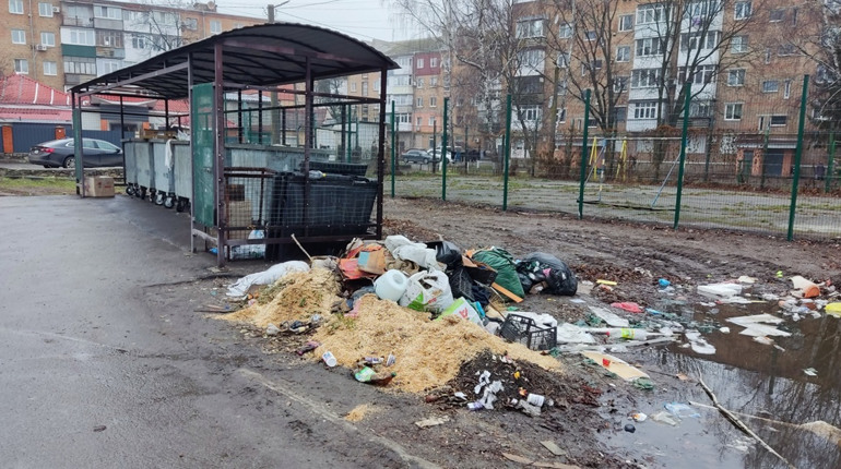 Сміття в центрі Знам’янки: чому стихійні звалища виникають біля облаштованих майданчиків