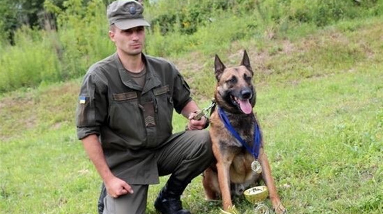 Топ-5 порад від жмеринського кінолога: як правильно дресирувати домашнього улюбленця