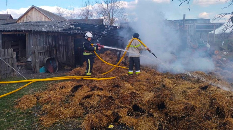 Загасили три пожежі за добу: що горіло в Сарнах і районі