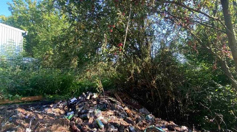 Через необережне поводження з вогнем поблизу Сатанова сталася пожежа