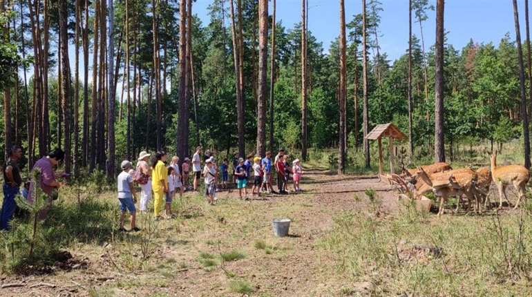 Для дітей пільгових категорій організували екскурсію — вони відвідали вольєри з плямистими оленями