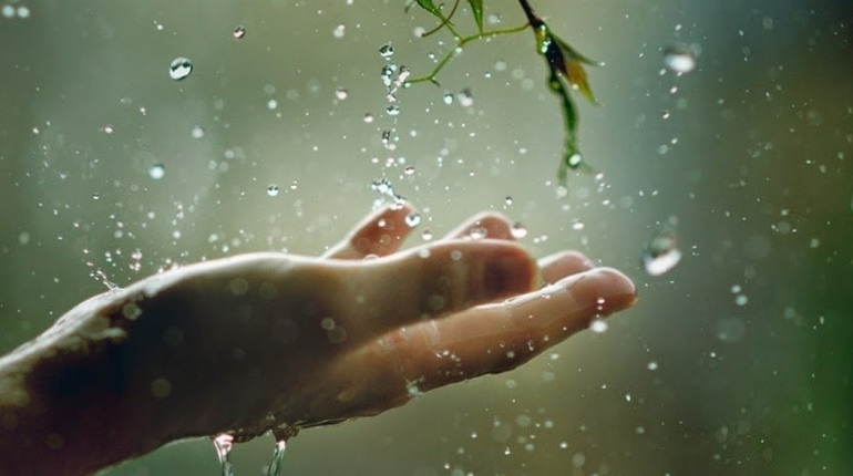 Найближчими днями синоптики Сумщини прогнозують невеликий дощ: прогноз погоди