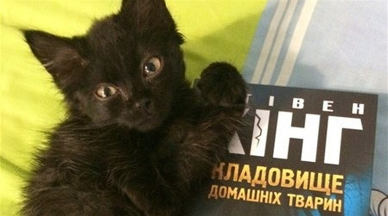 Чтиво на вечір: Стiвен Кiнг "Кладовище домашніх тварин"