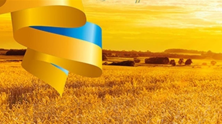 Щоденник війни. Тиждень сто сімдесят п'ятий. Кожен відповідатиме за свою участь у геноциді