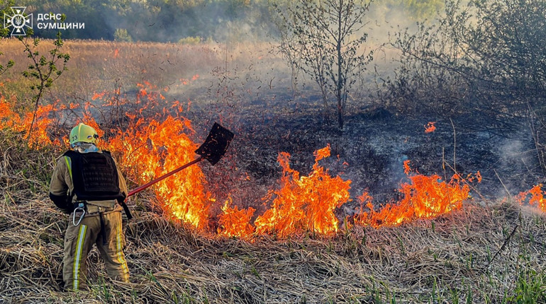 На Шосткинщині введено найсуворіші обмеження на відвідування природи