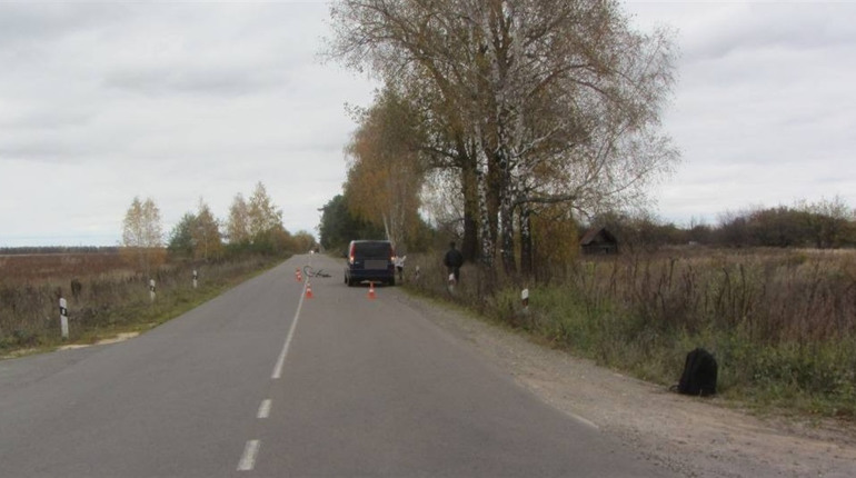 В результаті ДТП на Шосткинщині велосипедистка потрапила у лікарню