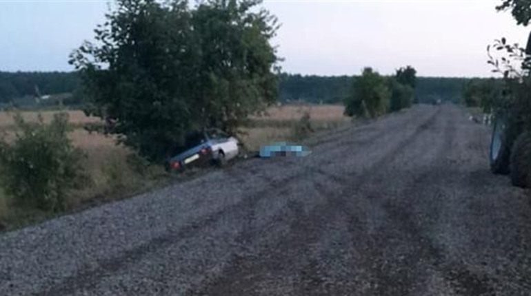 В’їхав у дерево: біля Тартакова загинув водій «дев’ятки». Поліцейські проводять розслідування