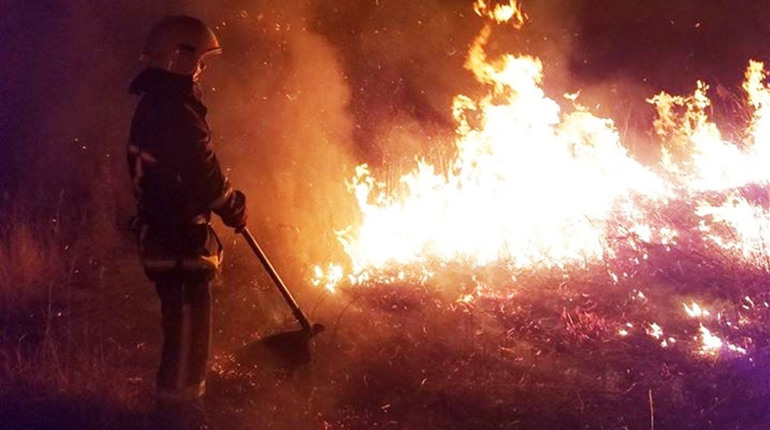 У Заболотті вогнеборці ліквідували загоряння сухої трави