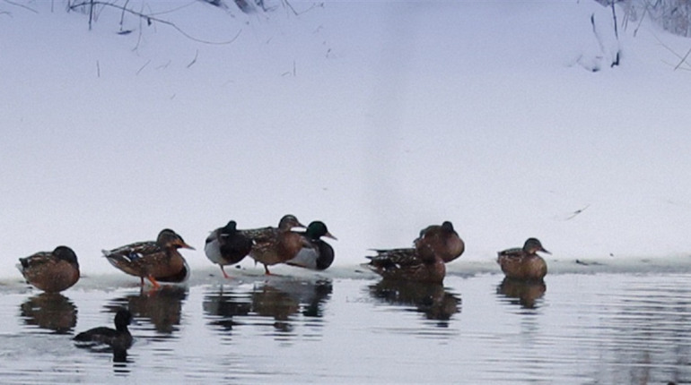 Радіаційний стан навколо Хмельницької АЕС за минулий тиждень