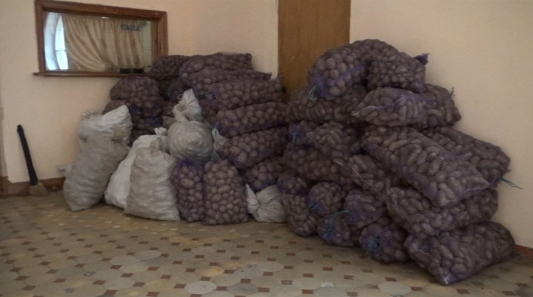Шосткинці за два дні зібрали кілька тонн картоплі для мешканців Чернігова і Харкова