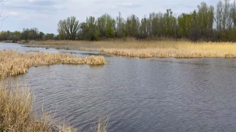 Як руйнування Каховської ГЕС вплинуло на річки,, що впадають у Дніпро