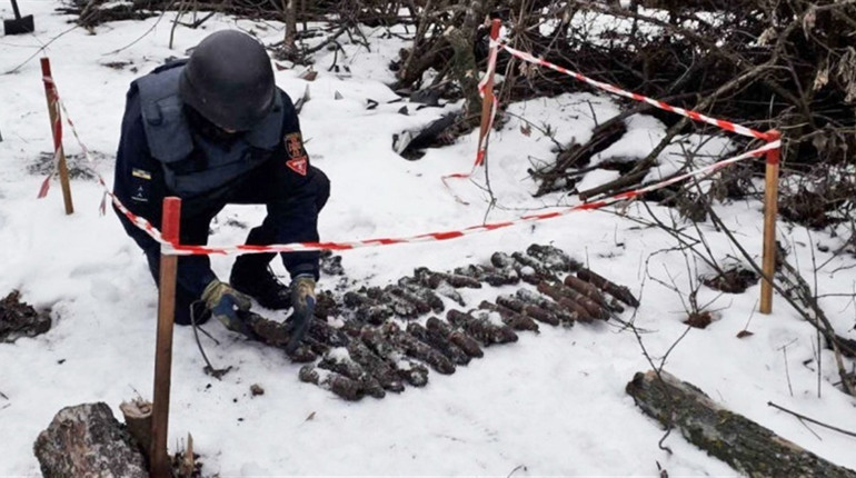У лісі поблизу Рівненської АЕС знайшли снаряди часів Другої світової війни