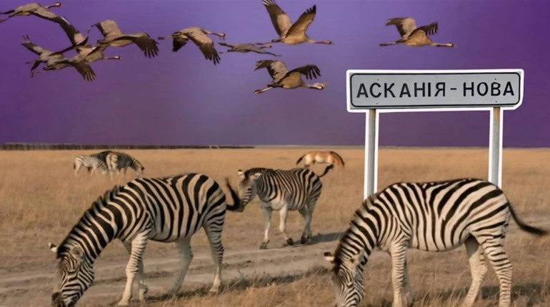 Окупаційного «директора» заповідника «Асканія-Нова» засудили до 15 років в'язниці