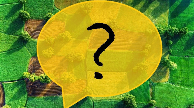 Продавать украинскую землю или нет? Рассказывают бердянцы
