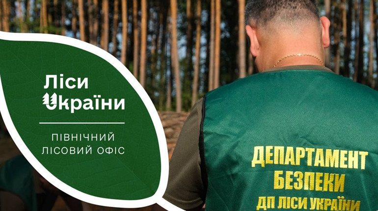 У філіях Північного лісового офісу «Ліси України» провели внутрішні перевірки. Які результати?