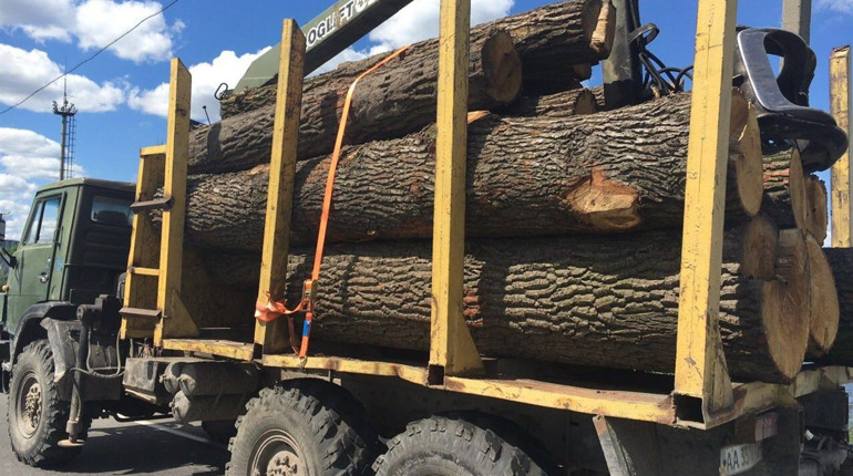 На Кременеччині затримали вантажівку з незаконно вирубаним дубом
