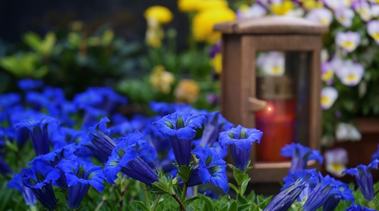 На трьох старих міських кладовищах у Біляївці закінчуються місця: що з цим робитимуть? 