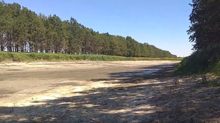 В Новогригорівці Волноваського району висохла водойма: відео