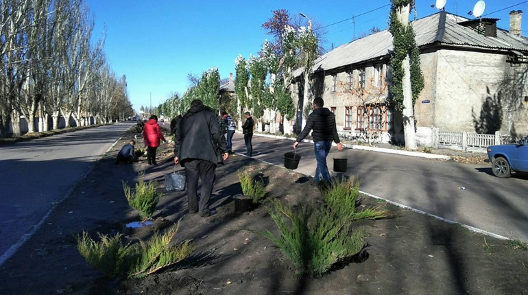 175 растений: на одной из улиц Торецка провели озеленение