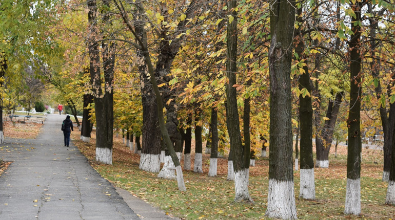Впізнай Нижні Сірогози по ямах на дорогах