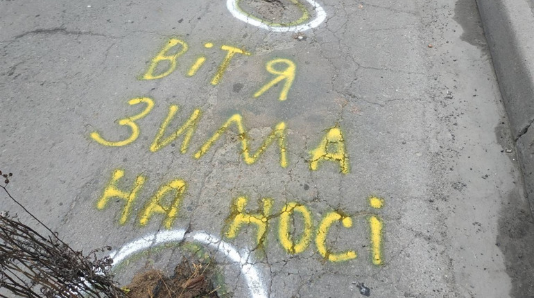 У Новограді знову на дорогах виросли кущі: хто це робить