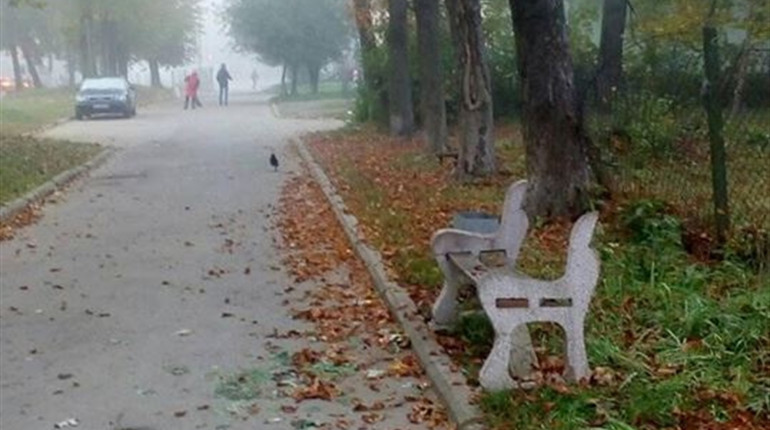 Афіша: події тижня, на яких варто побувати 16-21 листопада в Калуші та Івано-Франківську