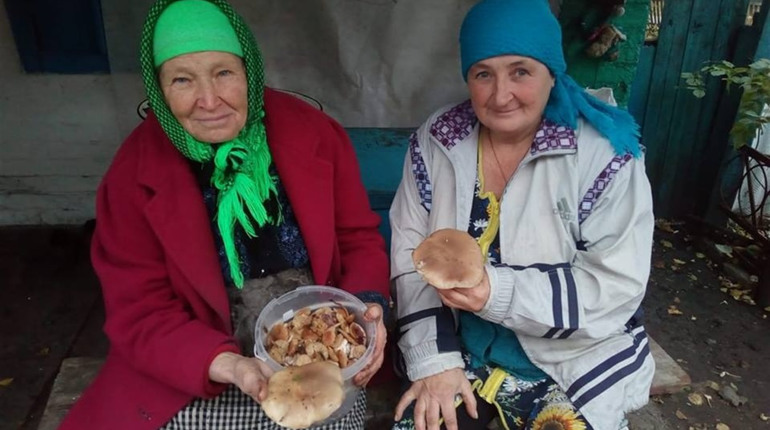 Мешканка села Розсипне за день збирає по чотири відра грибів