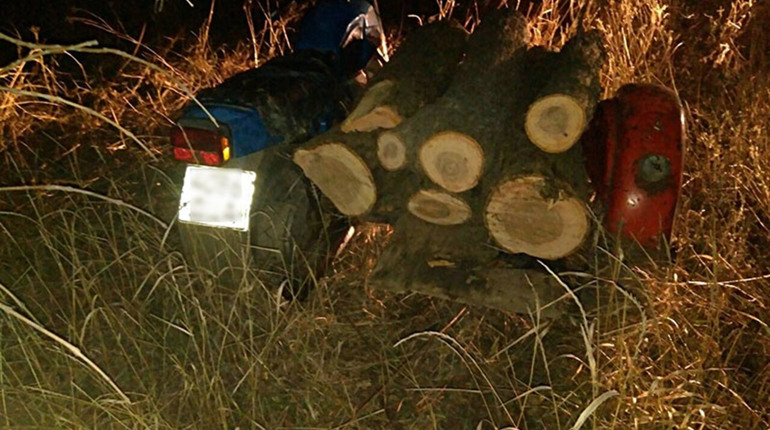 Поліцейські затримали мотоциклістів, які пиляли деревину у лісосмузі під Волновахою