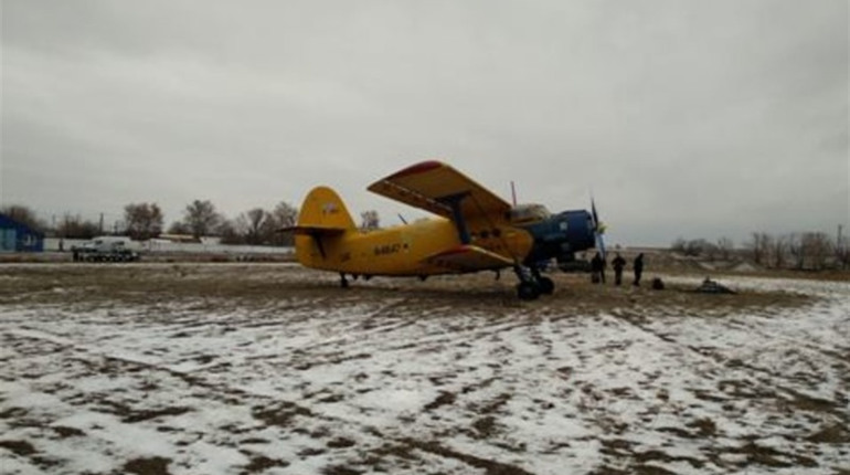 У Нижньосірогозькому районі провели вакцинацію диких тварин проти сказу