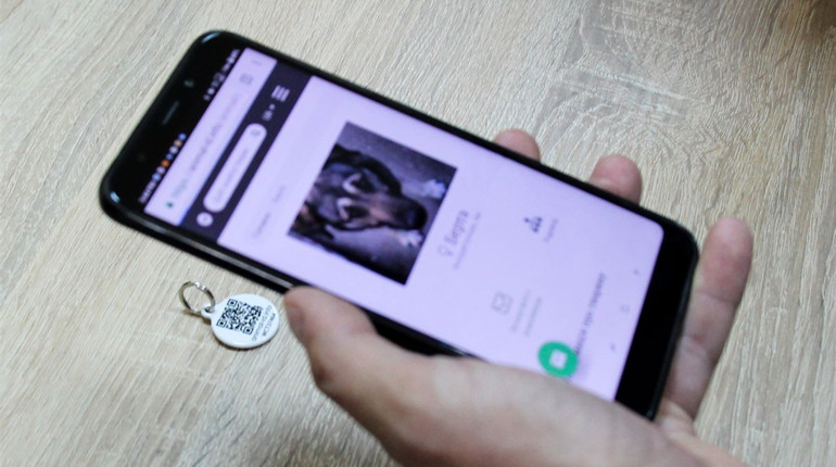 QR-код для чотирилапого: у Конотопі впроваджують реєстрацію домашніх улюбленців
