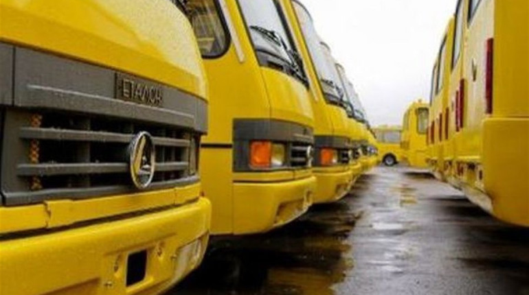 Міська влада шукає перевізників на 2019 рік: які вимоги висувають до автобусів