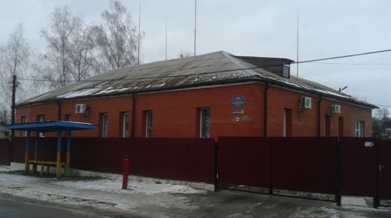 Особливі діти з Новограда, які рятують наше суспільство