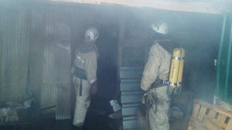 У Гуляйполі на пожежі згоріли троє свиней та десяток поросят 