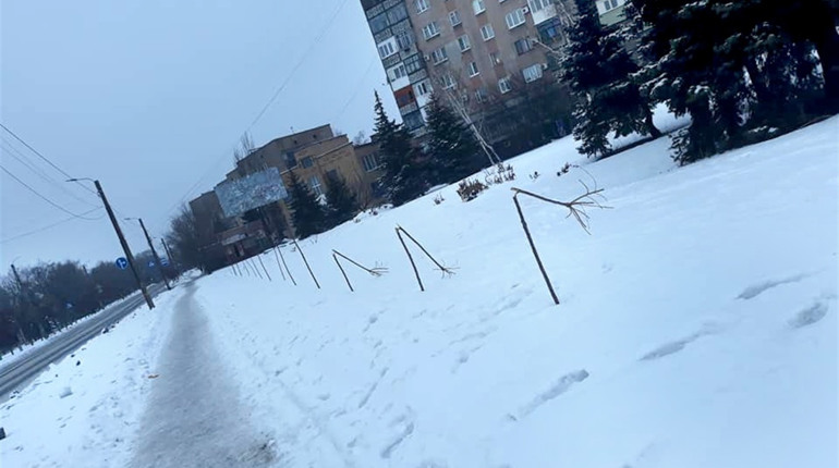 Вандалы сломали три дерева на аллее сакуры. Реакция торетчан
