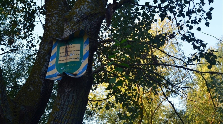 Конкурс на посаду директора нацпарку. Де дивитися трансляцію, і чому її можуть не показати