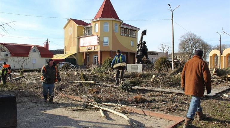 Чому у Калинівці біля парку почали різати дерева