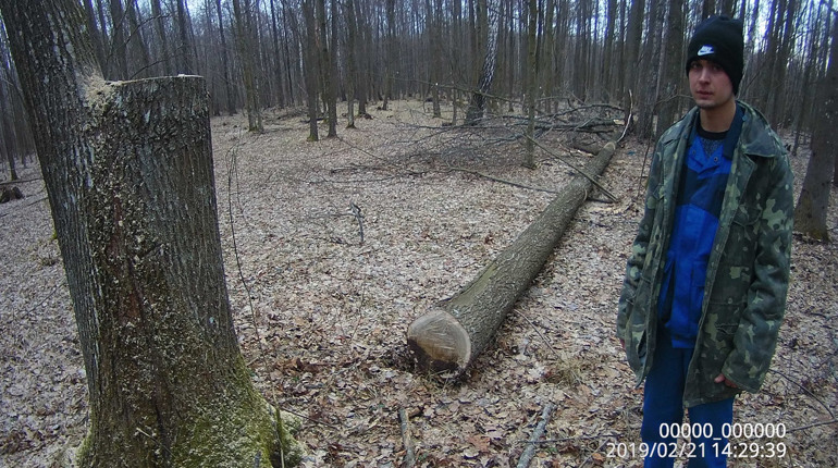 21 лютого у Полицькому лісництві четверо чоловіків хотіли вкрасти дуби, але їх спіймали лісники