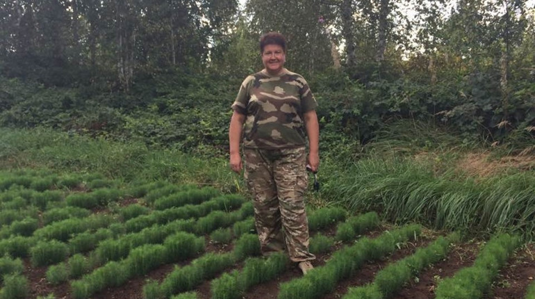  Що радить іншим панянкам Надія Палій — єдина жінка-ліснича на весь район