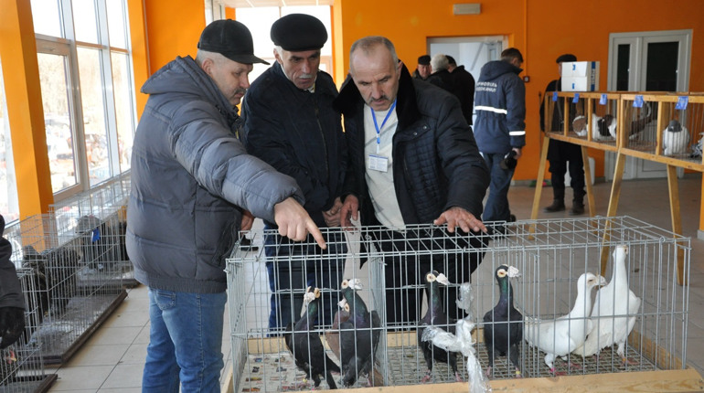 Чортків на день став пернатою столицею України