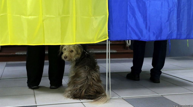 Правильно/Неправильно. Оберіть з десяти тез про вибори, що є правдою, а що - ні