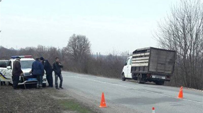 ДТП біля Острополя: під колесами автомобіля загинув 37-річний чоловік