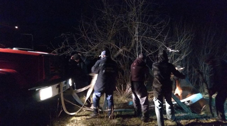 Гуляйпільські рятувальники витягнули коня з криниці
