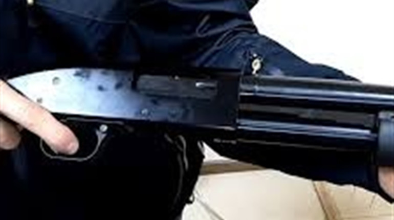 У селі Великий Дальник чоловік з рушницею зупинив напад на оселю та поранив нападника 