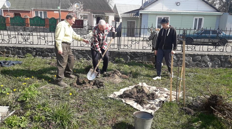 У Музеї Косачів відновлюють сад 